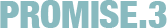 promise3